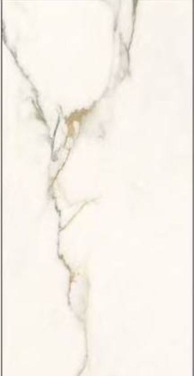 Time Dorado Polished 12 x 24